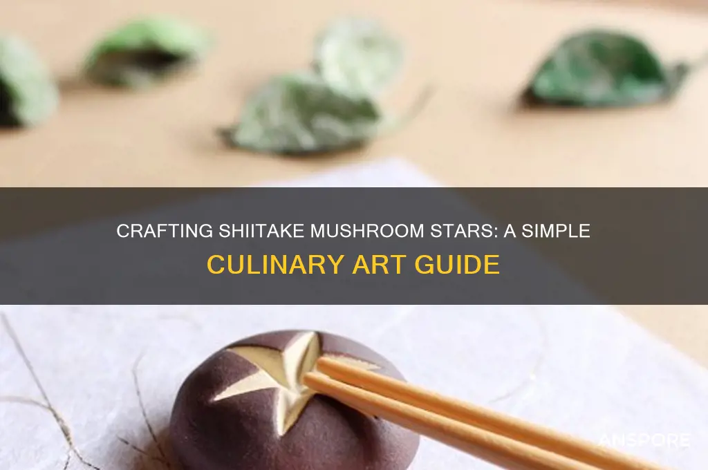 how to make shitake mushroom star
