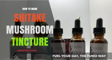 Crafting Shiitake Mushroom Tincture: A Simple DIY Wellness Guide
