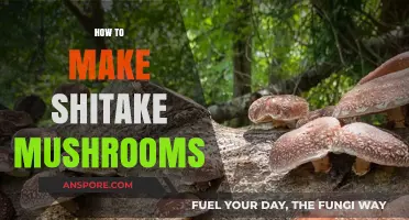 Mastering Shiitake Mushrooms: Simple Steps for Perfect Homegrown Harvests