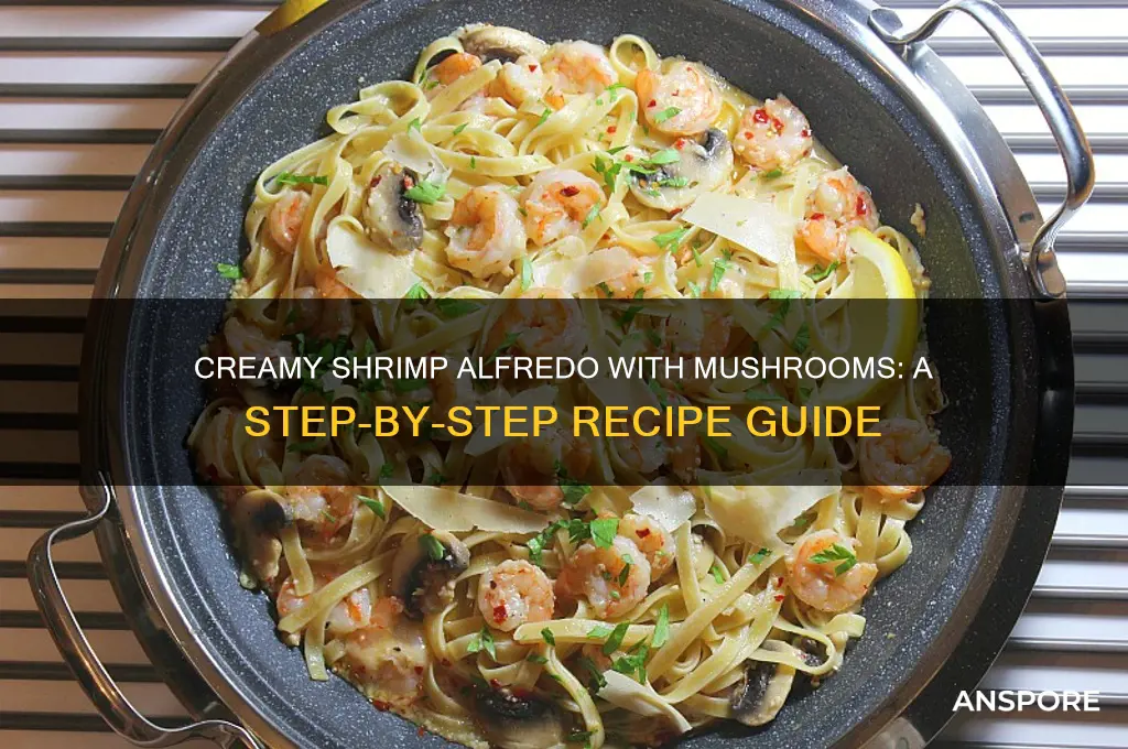 how to make shrimp alfredo with mushrooms