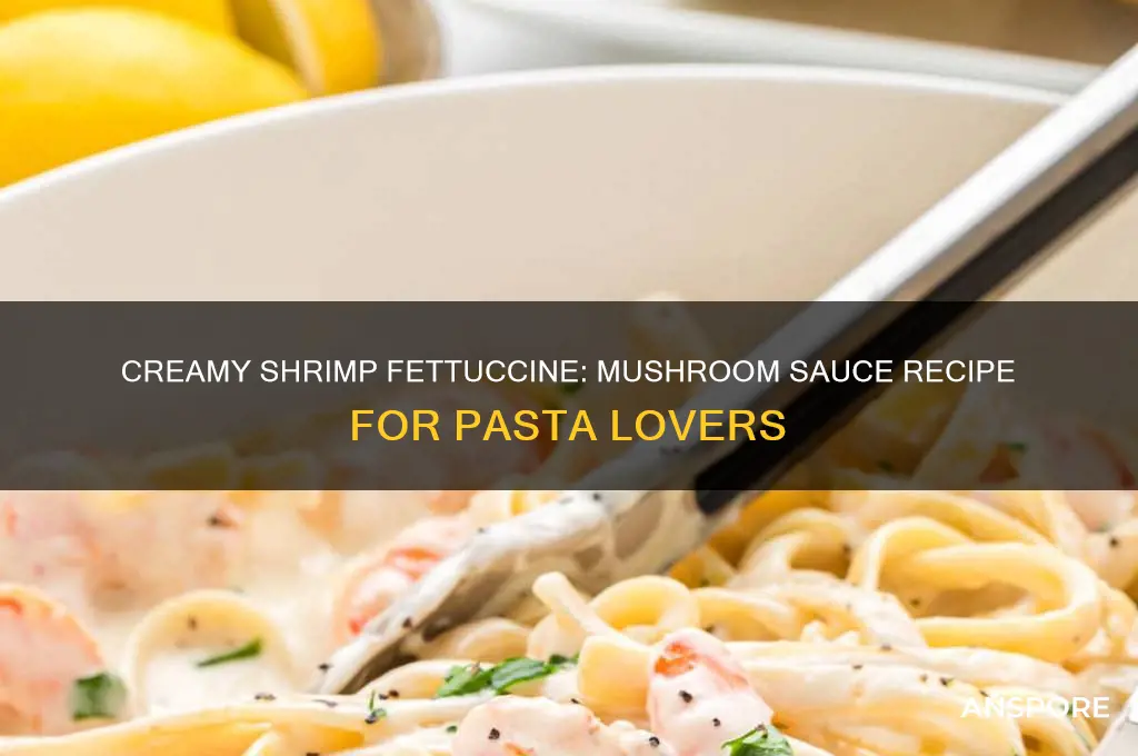 how to make shrimp fettuccine with cream of mushroom
