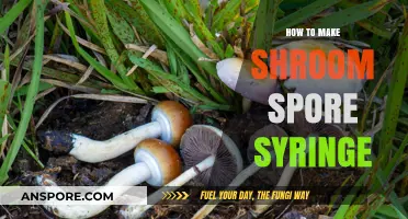 Crafting a Shroom Spore Syringe: Step-by-Step DIY Guide