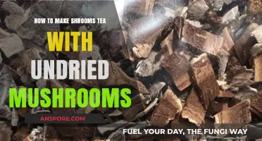 Brewing Fresh Magic: Making Shrooms Tea with Undried Mushrooms