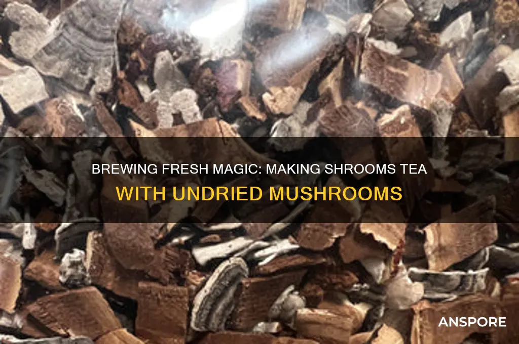 how to make shrooms tea with undried mushrooms