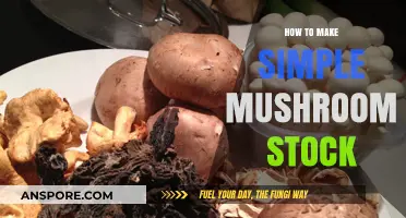 Easy Mushroom Stock Recipe: Simple Homemade Broth for Flavorful Dishes