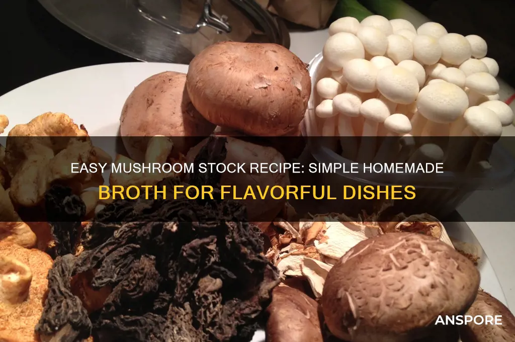 how to make simple mushroom stock