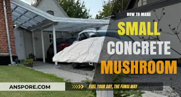 Crafting Cute Concrete Mushrooms: A Simple DIY Garden Project