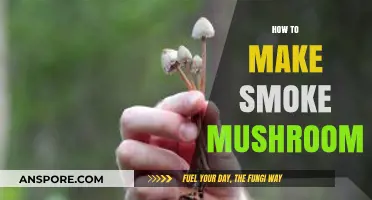 Mastering the Art of Smoking Mushrooms: A Step-by-Step Guide