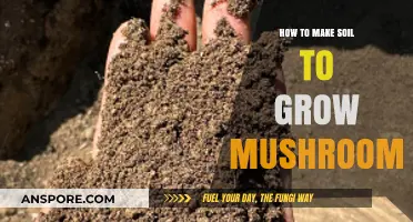 Mastering Mushroom Cultivation: Crafting the Perfect Soil for Growth