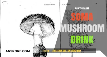 Brewing Bliss: A Step-by-Step Guide to Making Soma Mushroom Drink