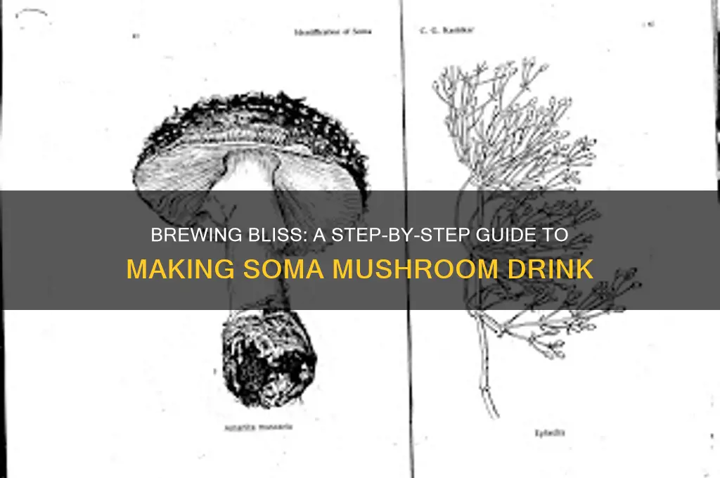 how to make soma mushroom drink