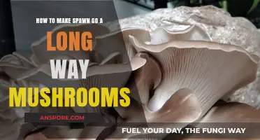 Maximize Mushroom Yield: Stretching Your Spawn for Abundant Harvests