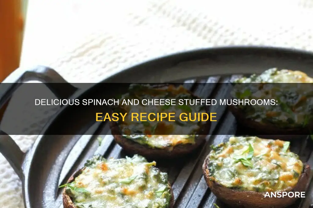 how to make spinach and cheese stuffed mushrooms