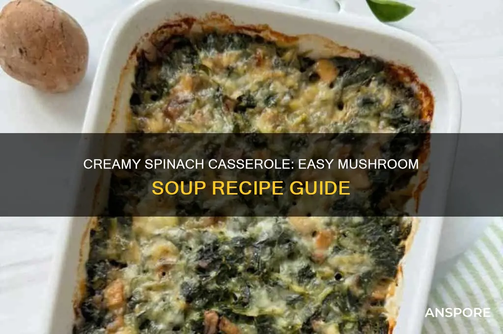 how to make spinach casserole with cream of mushroom