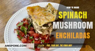 Spinach Mushroom Enchiladas: Easy, Flavorful, and Healthy Recipe Guide