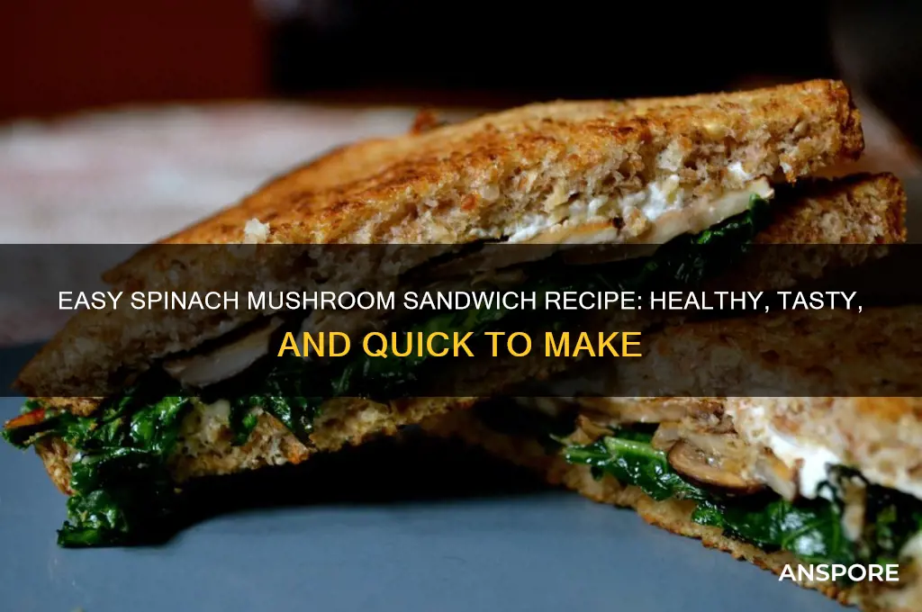 how to make spinach mushroom sandwich