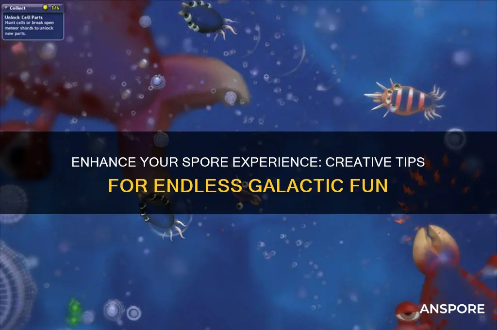 how to make spore fun