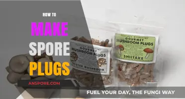 Mastering Mushroom Cultivation: A Step-by-Step Guide to Making Spore Plugs