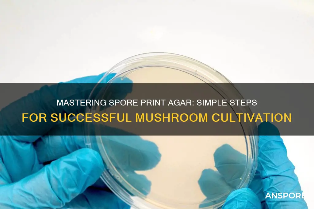 how to make spore print agar