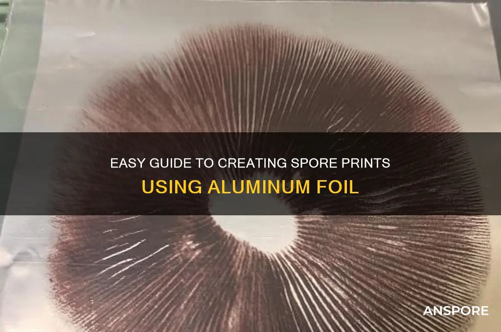 how to make spore print aluminum foil