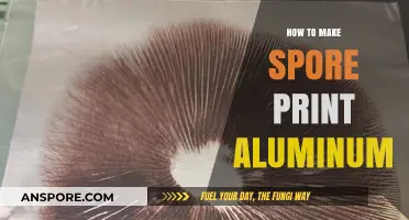 Creating Durable Spore Prints on Aluminum: A Step-by-Step Guide