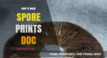 Mastering Spore Prints: A Step-by-Step Guide to Documenting Fungi