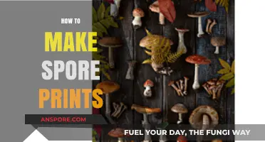 Mastering Mushroom Identification: A Step-by-Step Guide to Making Spore Prints