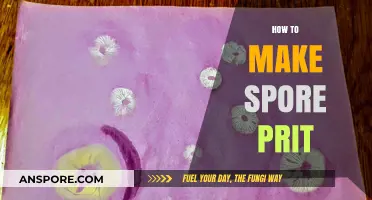 Mastering Spore Prints: A Step-by-Step Guide for Beginners