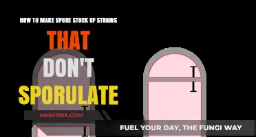 Inducing Sporulation in Non-Sporulating Strains: A Comprehensive Guide