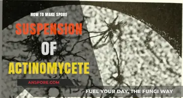 Mastering Actinomycete Spore Suspension: A Step-by-Step Preparation Guide