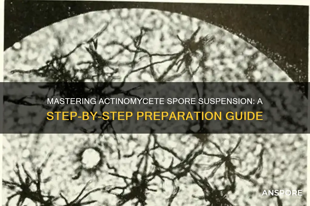 how to make spore suspension of actinomycete