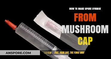 Crafting Spore Syringes: A Simple Guide Using Mushroom Caps