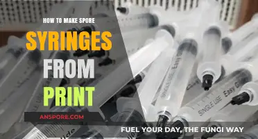 Crafting Spore Syringes: A Step-by-Step Guide from Mushroom Prints