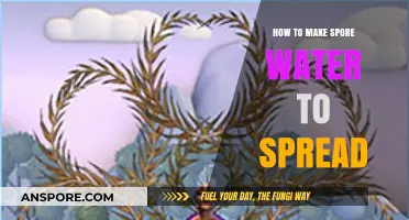Effective Techniques for Creating and Spreading Spore Water Safely