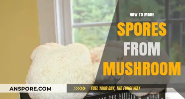 Mastering Mushroom Spores: A Step-by-Step Guide to Cultivation