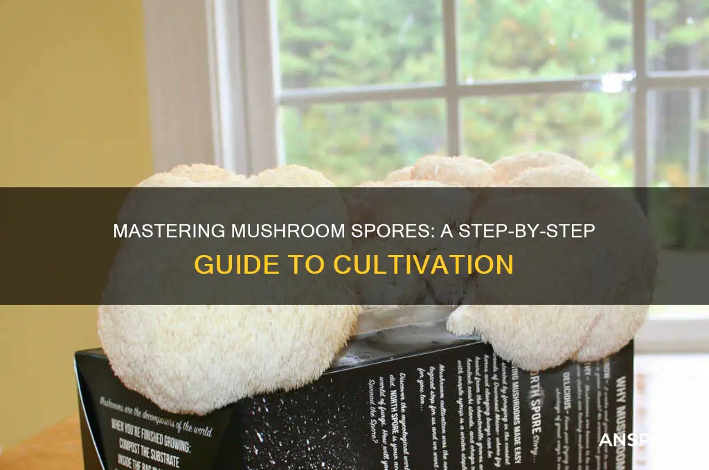 how to make spores from mushroom