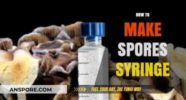 Mastering the Art of Creating Spores Syringe: A Step-by-Step Guide