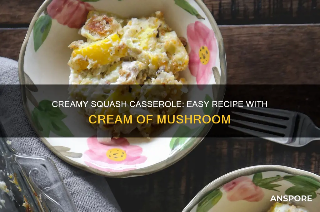 how to make squash casserole with cream of mushroom
