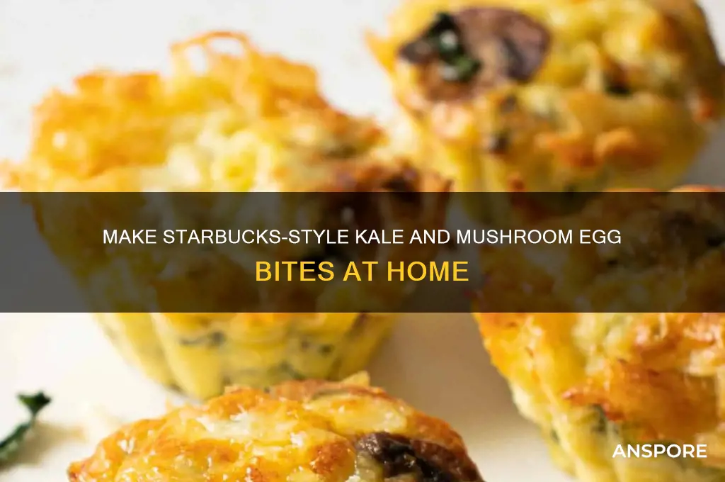 how to make starbucks egg bites kale and mushroom