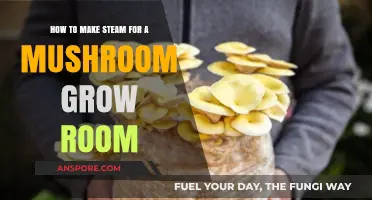 Creating Ideal Humidity: Steam Generation Tips for Mushroom Grow Rooms