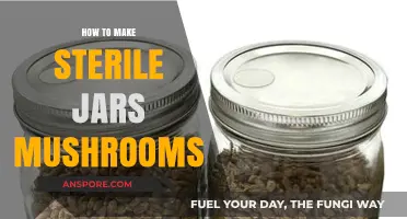 Sterilize Jars for Mushroom Cultivation: A Step-by-Step Guide