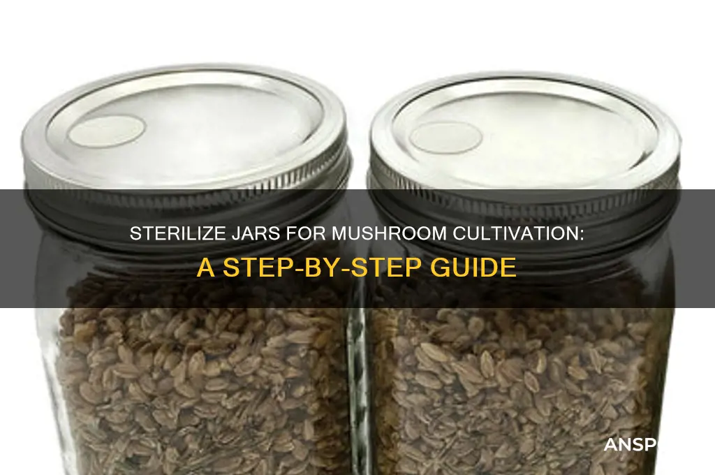 how to make sterile jars mushrooms