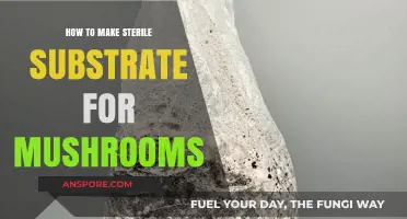 Mastering Sterile Substrate Preparation for Successful Mushroom Cultivation