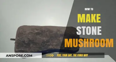 Crafting Stone Mushrooms: A Step-by-Step DIY Garden Art Guide