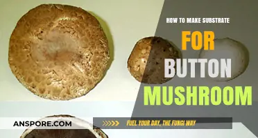 DIY Substrate Preparation Guide for Growing Button Mushrooms at Home