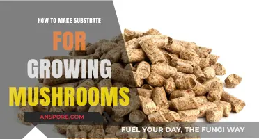 Crafting the Perfect Mushroom Substrate: A Step-by-Step Guide