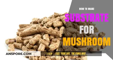 Crafting the Perfect Mushroom Substrate: A Step-by-Step Guide