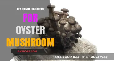 Crafting the Perfect Substrate for Growing Oyster Mushrooms at Home