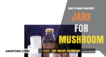 Mastering Mushroom Cultivation: A Step-by-Step Guide to Making Substrate Jars