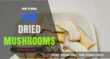 Sun-Dried Mushrooms: A Simple Guide to Dehydrating at Home